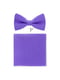 Набор: галстук-бабочка и носовой платок | 6458908