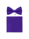 Набор: галстук-бабочка и носовой платок | 6458910