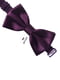 Краватка-метелик шовкова баклажанного кольору | 6459110 | фото 4