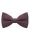 Краватка-метелик фіолетова | 6459331