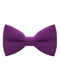 Краватка-метелик фіолетова | 6459333