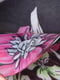 Чоботи гумові чорні з квітковим принтом | 6495722 | фото 4