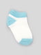 Шкарпетки біло-блакитні | 6525436 | фото 2