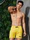 Жовті пляжні шорти із сіткою-підкладкою | 6530592