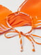 Бюстгальтер купальный оранжевый в принт | 6567996 | фото 2