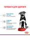 Royal Canin Maxi Puppy сухий корм для цуценят великих порід | 6609082 | фото 5