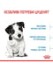 Royal Canin Mini Puppy сухий корм для цуценят дрібних порід | 6609084 | фото 6