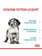 Royal Canin Medium Puppy сухий корм для цуценят середніх порід 4 кг. | 6609089 | фото 7
