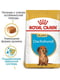 Royal Canin Dachshund Puppy сухий корм для цуценят | 6609092 | фото 3