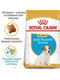 Royal Canin Jack Russell Terrier Puppy (Роял Канін Джек Рассел Тер'єр Паппі) сухий корм для цуценят 1.5 кг. | 6609102 | фото 3