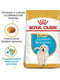 Royal Canin Golden Retriever Puppy сухой корм для щенков | 6609107 | фото 2