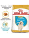 Royal Canin Golden Retriever Puppy сухий корм для цуценят 3 кг. | 6609108 | фото 2