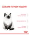Royal Canin Kitten сухий корм для кошенят у період другої фази зростання 4 кг. | 6609112 | фото 6