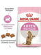Royal Canin Kitten Sterilised сухий корм для кошенят | 6609116 | фото 2
