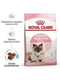 Royal Canin Mother & Babycat сухой корм для котят, беременных и кормящих кошек | 6609120 | фото 4