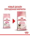 Royal Canin Mother & Babycat сухой корм для котят, беременных и кормящих кошек 1.2 кг. | 6609121 | фото 2