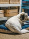 Підстилка-подушка для собак та кішок Ferplast Prince 65/6 Синій | 6609448 | фото 3