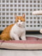 Подстилка-подушка для собак и кошек Ferplast Prince 65/6 Синий | 6609448 | фото 4