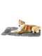 Подушка-лежак для собак та кішок Ferplast Jolly 65 х 48 см - 65, Сірий | 6609534 | фото 2