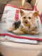 Автомобільний килимок для собак і кішок Ferplast Pet Thermal Mat | 6609597 | фото 3