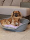 Пластиковый лежак для собак и кошек Ferplast Siesta Deluxe 61.5 х 45 х h 21.5 см - 4, Розовый | 6609711 | фото 7