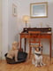 Пластиковый лежак для собак и кошек Ferplast Siesta Deluxe 70.5 х 52 х h 23.5 см - 6, Бордовый | 6609719 | фото 5