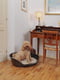 Пластиковый лежак для собак и кошек Ferplast Siesta Deluxe 70.5 х 52 х h 23.5 см - 6, Бордовый | 6609719 | фото 6