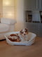 Пластиковый лежак для собак и кошек Ferplast Siesta Deluxe 82 х 59.5 х h 25 см - 8, Белый | 6609728 | фото 5