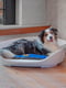 Пластиковий лежак для собак і кішок Ferplast Siesta Deluxe 93.5 х 68 х 28.5 см - 10, Сірий | 6609732 | фото 5