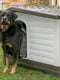 Дверцята для собачої будки Ferplast Dogvilla Door 23.6 х 0.2 х 38.3 см - 90 | 6609750 | фото 4