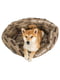 Подушка для лежака для собак и кошек Ferplast Sofа' Cushion Cities 73 х 55 х h 27 см - 6 | 6609754 | фото 5