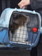 Контейнер переноска для собак и кошек Ferplast Atlas Deluxe Open 37.4 х 57.6 х h 33 см -20, Серый | 6609785 | фото 4