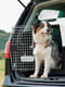 Контейнер переноска для собак и кошек Ferplast Atlas Professional 61 х 91 х h 66.5 см - 60 | 6609790 | фото 3