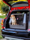 Контейнер перенесення для собак та кішок Ferplast Atlas Car Scenic | 6609791 | фото 2