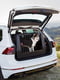 Контейнер перенесення для собак і кішок Ferplast Atlas Car Scenic 100 х 60 х 66 см - 100 | 6609792 | фото 2
