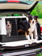 Контейнер переноска для собак и кошек Ferplast Atlas Car 100 х 80 х h 71 см - MAXI | 6609796 | фото 4