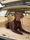 Перегородка в машину для собак Ferplast Dog Car Security | 6609805 | фото 6