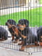 Загон-манеж для собак и щенков Ferplast Dog Training | 6609807 | фото 5