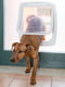 Дверка врезная для собак и кошек Ferplast Swing 11 | 6609817 | фото 3