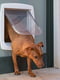 Дверка врезная для собак и кошек Ferplast Swing 11 | 6609817 | фото 4