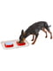 Миски на подносе для собак и кошек Ferplast Glam Tray 40 х 23 х h 5.5 см - 0.8 L - SMALL, Коричневый | 6609850 | фото 6