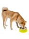 Металлическая миска для собак и кошек с подставкой Ferplast Jolie 23.3 x h 7.5 см - 1.2 L - LARGE, Красный | 6609862 | фото 6
