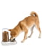 Диспенсер для води та корму для собак та кішок Ferplast Azimut 16.5 x 25 xh 24.5 - 1.5 L - 1500, Білий | 6609886 | фото 3