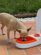 Автоматичний диспенсер для корму з таймером для собак та кішок Ferplast Cometa | 6609889 | фото 3