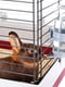 Клетка для кроликов и грызунов Ferplast Krolik 120 х 60 х h 50 см - EXTRA LARGE, Бордовый | 6609984 | фото 5