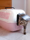 Закрытый туалет для кошек с узором Ferplast Prima Decor | 6610030 | фото 2