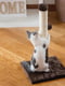 Підлогова кігтеточка стовпчик з іграшкою для кішок Ferplast PA 4014 | 6610048 | фото 3