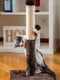 Підлогова кігтеточка стовпчик з іграшкою для кішок Ferplast PA 4014 | 6610048 | фото 4