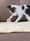 Напольная когтеточка - коврик для кошек из сизаля Ferplast PA 5616 | 6610050 | фото 4