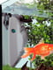 Открытый аквариум с лампой и внутренним фильтром на 21 литр Ferplast Cayman 40 Open | 6610096 | фото 4